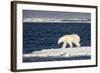 Polar Bear on Melting Pack Ice at Spitsbergen-Paul Souders-Framed Photographic Print