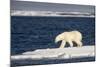 Polar Bear on Melting Pack Ice at Spitsbergen-Paul Souders-Mounted Photographic Print
