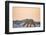 Polar Bear on Sea Ice, Hudson Bay, Nunavut, Canada-Paul Souders-Framed Photographic Print