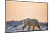 Polar Bear on Sea Ice, Hudson Bay, Nunavut, Canada-Paul Souders-Mounted Photographic Print