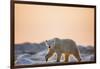 Polar Bear on Sea Ice, Hudson Bay, Nunavut, Canada-Paul Souders-Framed Photographic Print