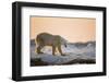 Polar Bear on Sea Ice, Hudson Bay, Nunavut, Canada-Paul Souders-Framed Photographic Print