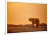 Polar Bear on Sea Ice, Hudson Bay, Nunavut, Canada-Paul Souders-Framed Photographic Print