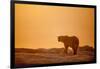 Polar Bear on Sea Ice, Hudson Bay, Nunavut, Canada-Paul Souders-Framed Photographic Print