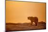 Polar Bear on Sea Ice, Hudson Bay, Nunavut, Canada-Paul Souders-Mounted Photographic Print