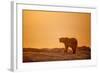 Polar Bear on Sea Ice, Hudson Bay, Nunavut, Canada-Paul Souders-Framed Photographic Print