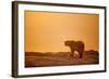 Polar Bear on Sea Ice, Hudson Bay, Nunavut, Canada-Paul Souders-Framed Photographic Print