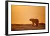 Polar Bear on Sea Ice, Hudson Bay, Nunavut, Canada-Paul Souders-Framed Photographic Print