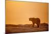 Polar Bear on Sea Ice, Hudson Bay, Nunavut, Canada-Paul Souders-Mounted Photographic Print