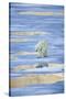 Polar Bear on Sea Ice-DLILLC-Stretched Canvas