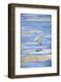 Polar Bear on Sea Ice-DLILLC-Framed Photographic Print