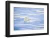 Polar Bear on Sea Ice-DLILLC-Framed Photographic Print