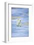 Polar Bear on Sea Ice-DLILLC-Framed Photographic Print