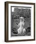 Polar Bear on the Mappin Terrace at London Zoo, 1926-1927-McLeish-Framed Giclee Print