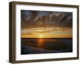 Polar Bear on the Tundra at Sunset-Howard Ruby-Framed Premium Photographic Print