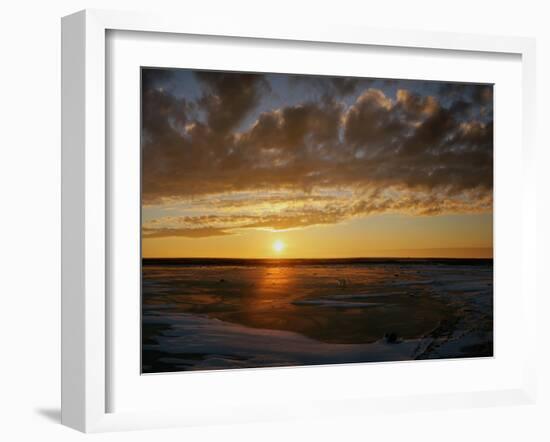 Polar Bear on the Tundra at Sunset-Howard Ruby-Framed Premium Photographic Print