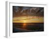 Polar Bear on the Tundra at Sunset-Howard Ruby-Framed Premium Photographic Print