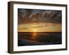 Polar Bear on the Tundra at Sunset-Howard Ruby-Framed Photographic Print