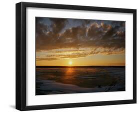 Polar Bear on the Tundra at Sunset-Howard Ruby-Framed Photographic Print