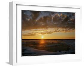 Polar Bear on the Tundra at Sunset-Howard Ruby-Framed Photographic Print