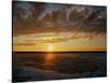 Polar Bear on the Tundra at Sunset-Howard Ruby-Stretched Canvas