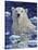 Polar Bear Painting-Jeff Tift-Stretched Canvas