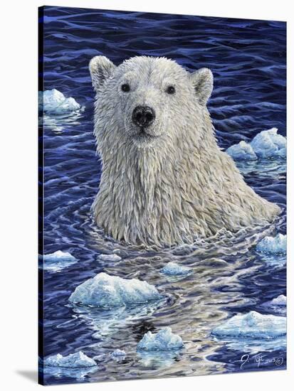 Polar Bear Painting-Jeff Tift-Stretched Canvas