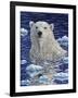 Polar Bear Painting-Jeff Tift-Framed Giclee Print