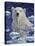 Polar Bear Painting-Jeff Tift-Stretched Canvas
