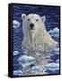 Polar Bear Painting-Jeff Tift-Framed Stretched Canvas