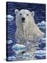 Polar Bear Painting-Jeff Tift-Stretched Canvas