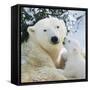 Polar Bear Parent with Cub-null-Framed Stretched Canvas