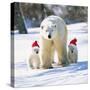 Polar Bear Parent with Cubs Wearing Christmas Hats-null-Stretched Canvas