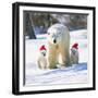 Polar Bear Parent with Cubs Wearing Christmas Hats-null-Framed Photographic Print