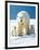 Polar Bear Parent with Cubs-null-Framed Photographic Print