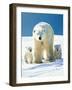 Polar Bear Parent with Cubs-null-Framed Photographic Print