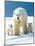 Polar Bear Parent with Cubs-null-Mounted Photographic Print