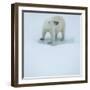 Polar Bear Portrait, Greenland-Panoramic Images-Framed Photographic Print