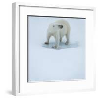 Polar Bear Portrait, Greenland-Panoramic Images-Framed Photographic Print
