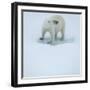 Polar Bear Portrait, Greenland-Panoramic Images-Framed Photographic Print