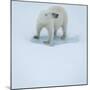Polar Bear Portrait, Greenland-Panoramic Images-Mounted Photographic Print