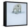 Polar Bear Portrait, Greenland-Panoramic Images-Framed Stretched Canvas