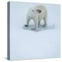 Polar Bear Portrait, Greenland-Panoramic Images-Stretched Canvas