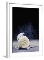 Polar Bear (Powdered Sugar)-Dina Belenko-Framed Giclee Print