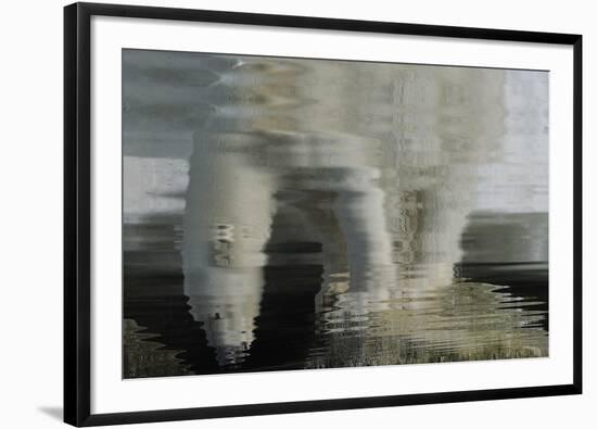 Polar Bear Reflection-Staffan Widstrand-Framed Giclee Print