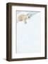 Polar bear resting in snow. Svalbard, Norway-Danny Green-Framed Photographic Print