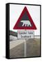 Polar Bear Road Sign-null-Framed Stretched Canvas