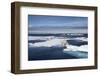 Polar Bear Running across Melting Sea Ice at Spitsbergen-Paul Souders-Framed Photographic Print