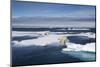 Polar Bear Running across Melting Sea Ice at Spitsbergen-Paul Souders-Mounted Photographic Print