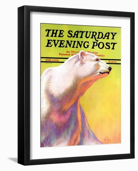 "Polar Bear," Saturday Evening Post Cover, February 1, 1936-Jack Murray-Framed Giclee Print